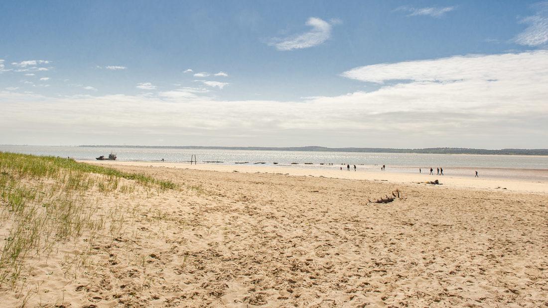 Traumstrand von Oléron: Plage de la Rémigiasse. Foto: Hilke Maunder