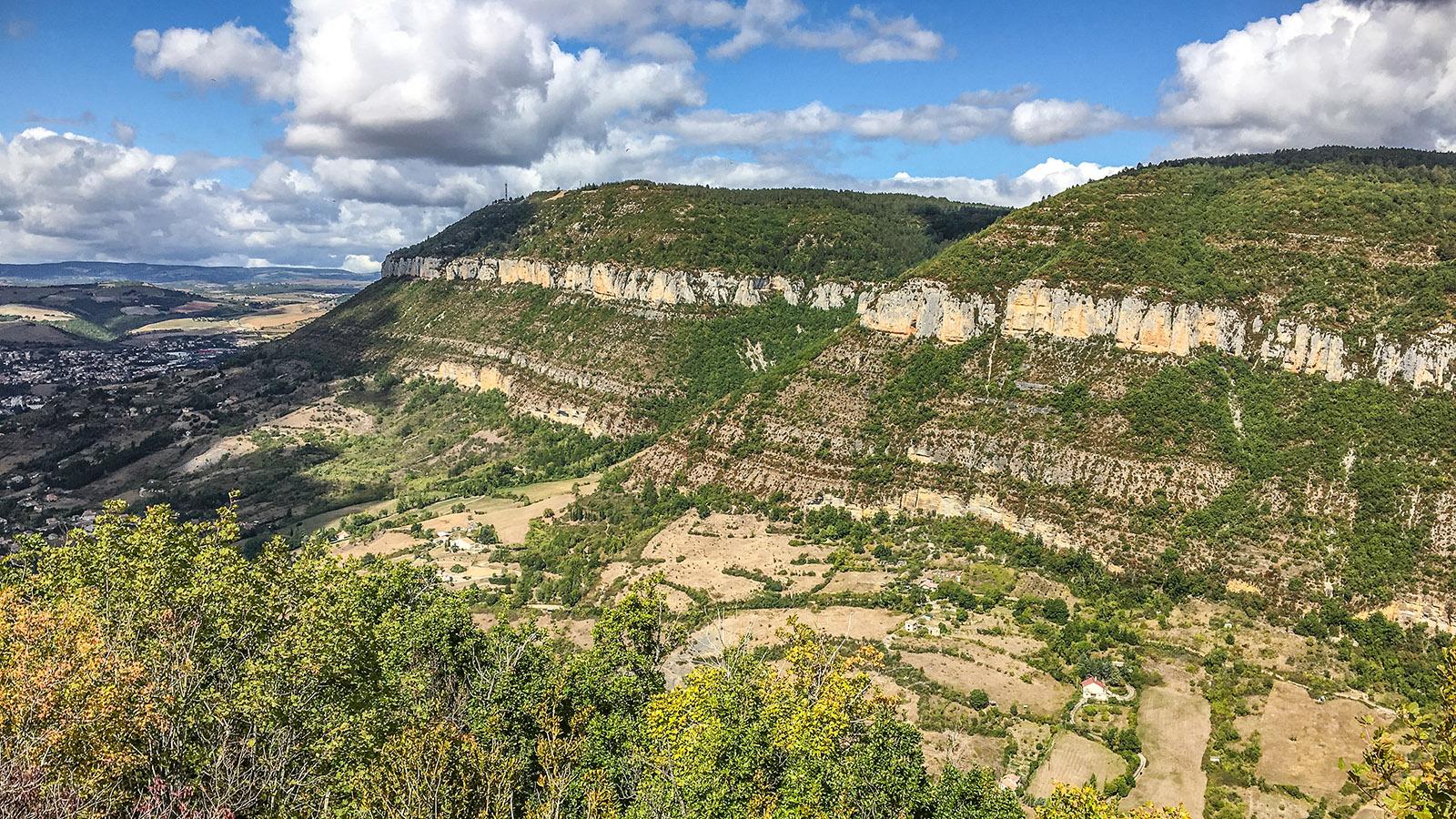 Die <em>Gorges du Tarn</em> bei Millau. Foto: Hilke Maunder