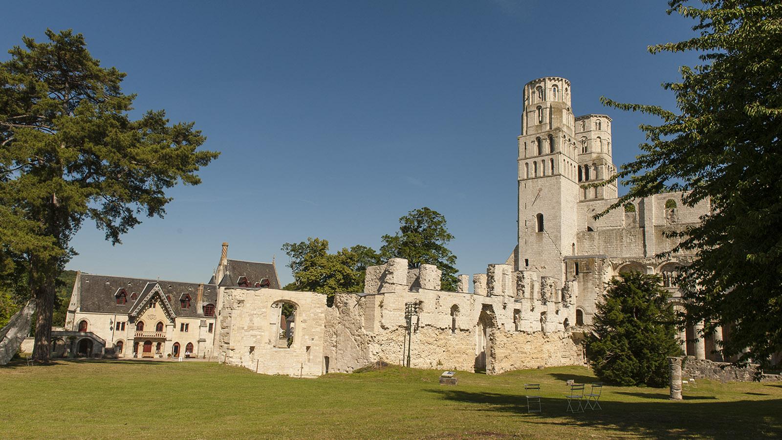 Jumièges: die Ruine der Anbteikirche. Foto: Hilke Maunder
