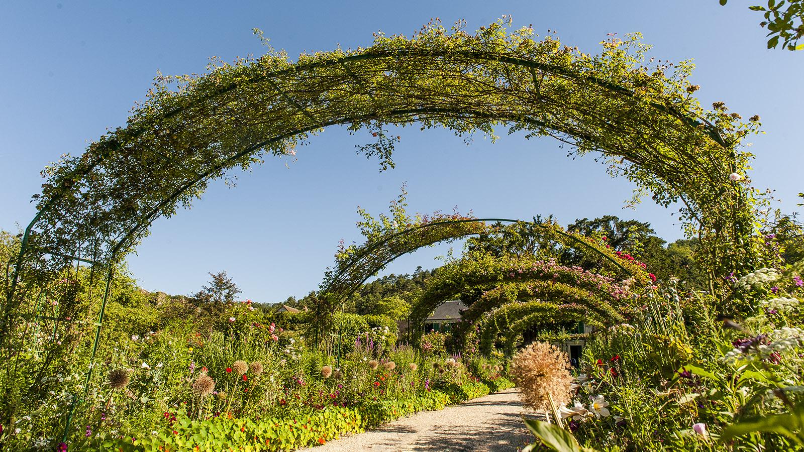 Der Garten von Monet in Giverny. Foto: Hilke Maunder