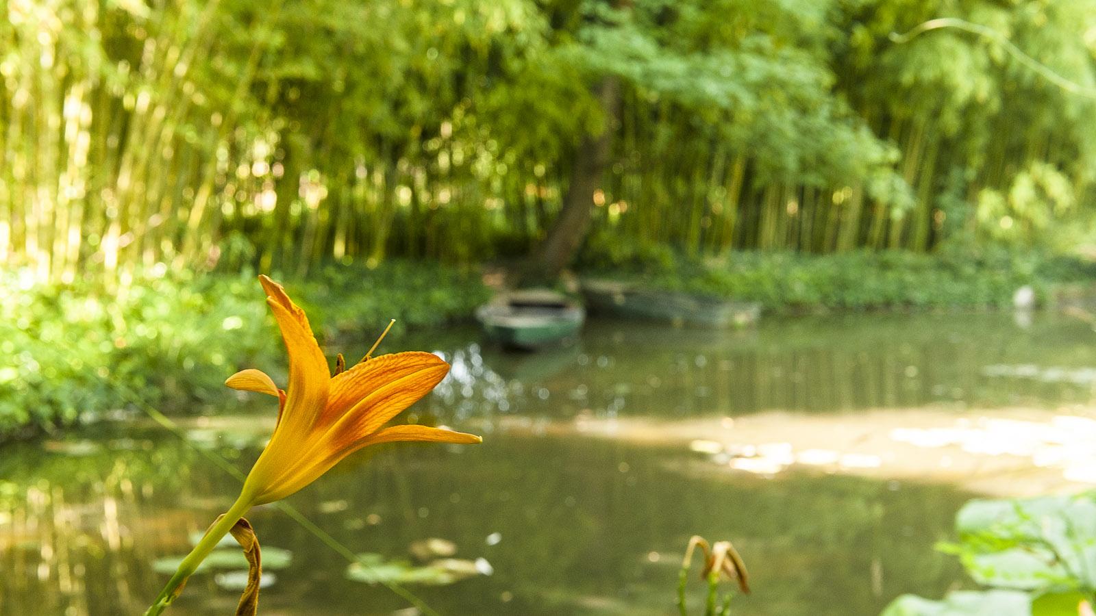 Der Garten von Monet in Giverny. Foto: Hilke Maunder