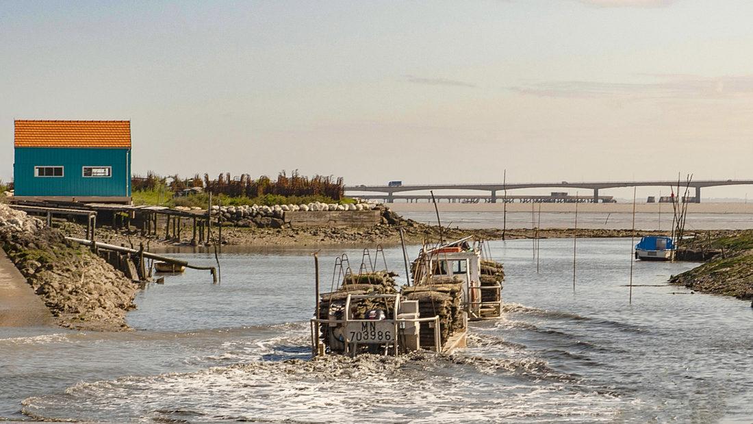 Île d'Oléron: Ein Austernfischer verlässt den Hafen von Saint-Trojan-les-Bains. Foto: Hilke Maunder