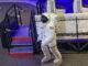 Astronautenanzüge, Mondgestein und historische Filme der Apollo-Missionen... in der Cité de l'Espace von Toulouse könnt ihr hautnah eintauchen in die Weltraumforschung! Foto: Hilke Maunder