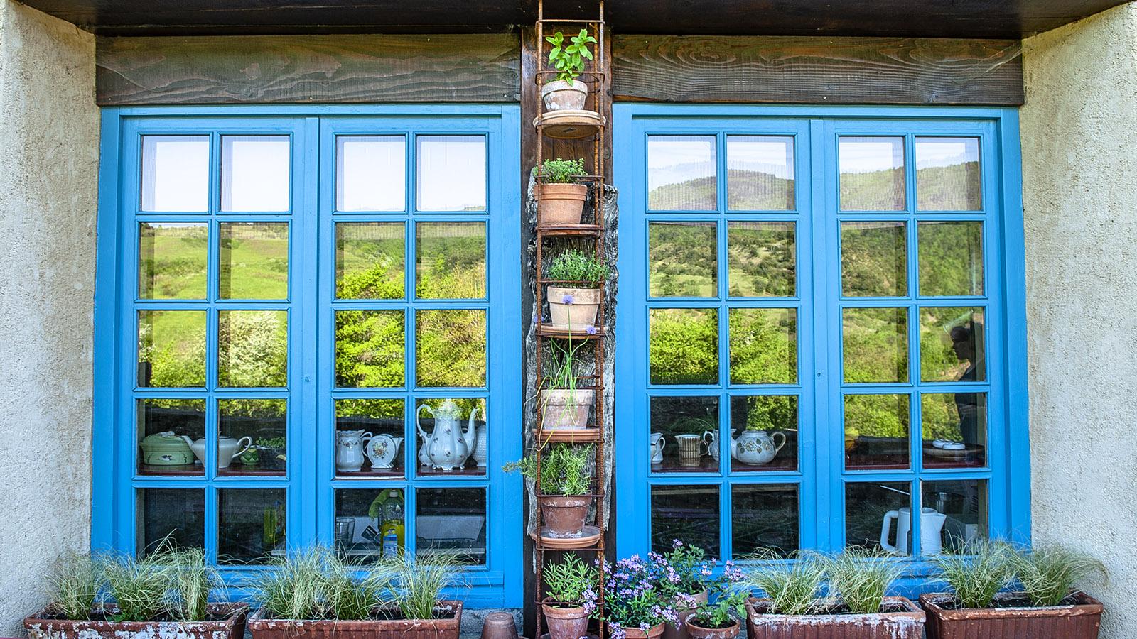 Bugarach: Blumentöpfe, kunstvoll arrangiert zwischen den Fensterrahmen. Foto: Hilke Maunder