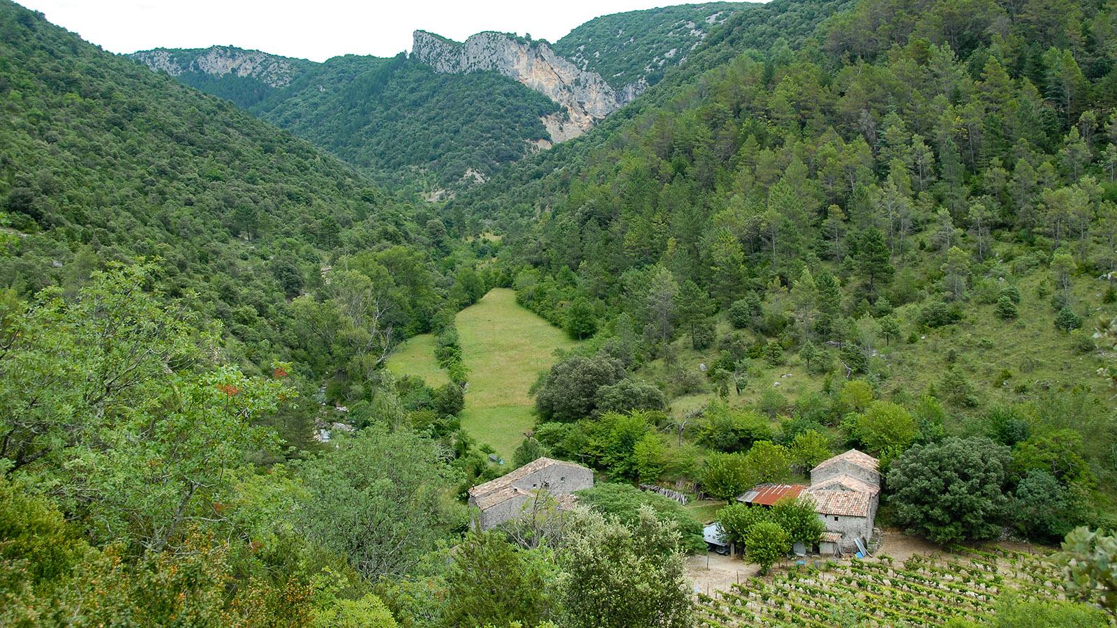 Ardèche, Vallée de la Tiourre. Foto: Hilke Maunder