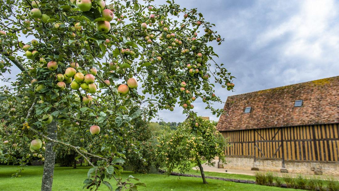 Château de Crèvecœur. Foto: Hilke Maunder