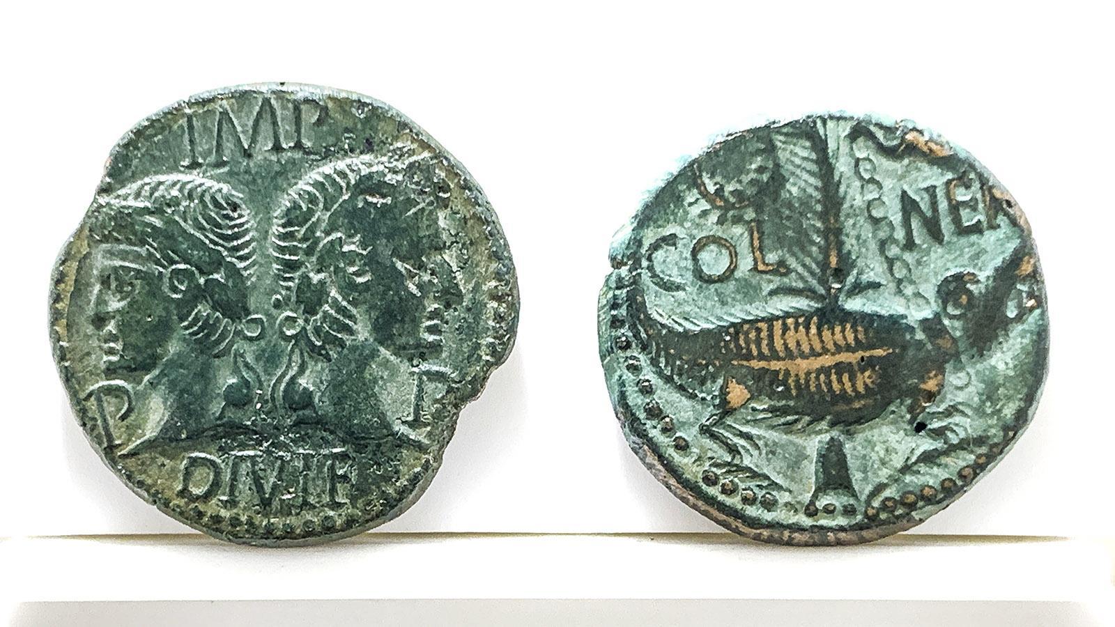 Der <em>Dupondius</em> zeigt auf der Vorderseite Büsten von Agrippa und Augustus , auf der Rückseite das Krokodil. Der Fund dieser Münze aus dem Jahr 14 n. Chr. machte das Krokodil zum Stadtwappen. Foto: Hilke Maunder