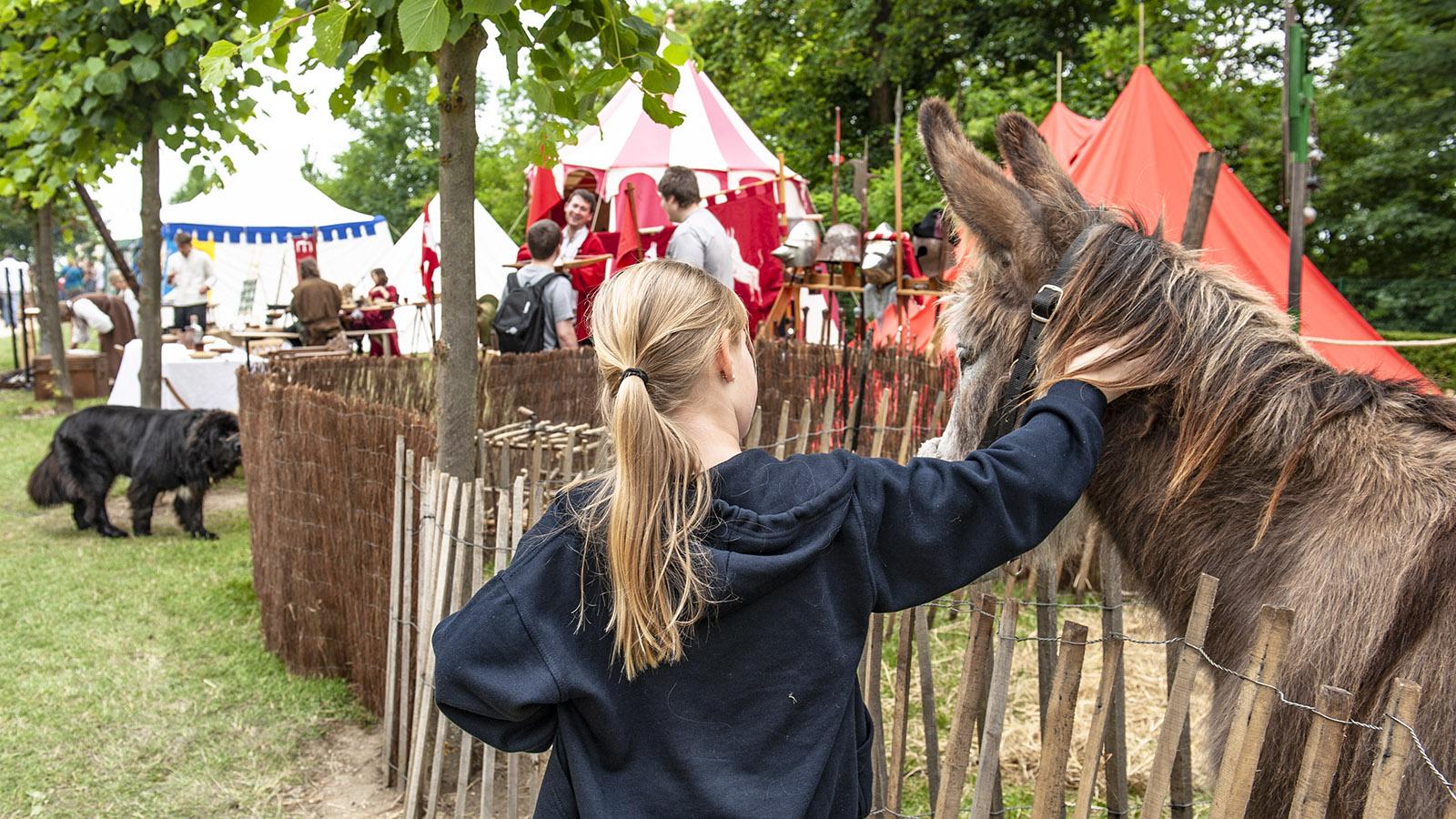 Mittelalterfest Laon. Foto: Hilke Maunder