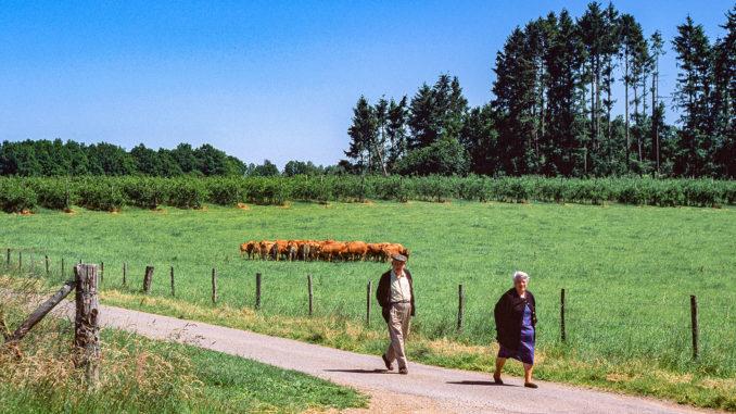 Limousin: Spaziergänger auf dem Lande. Foto: Hilke Maunder