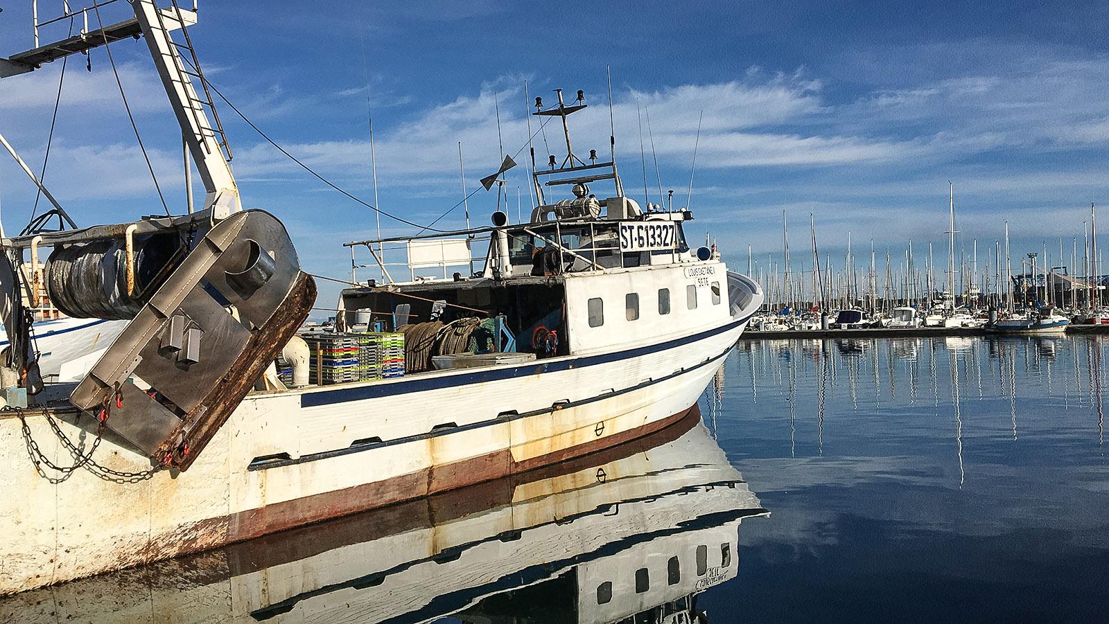 Sète: Fischkutter im Hafen. Foto: Hilke Maunder