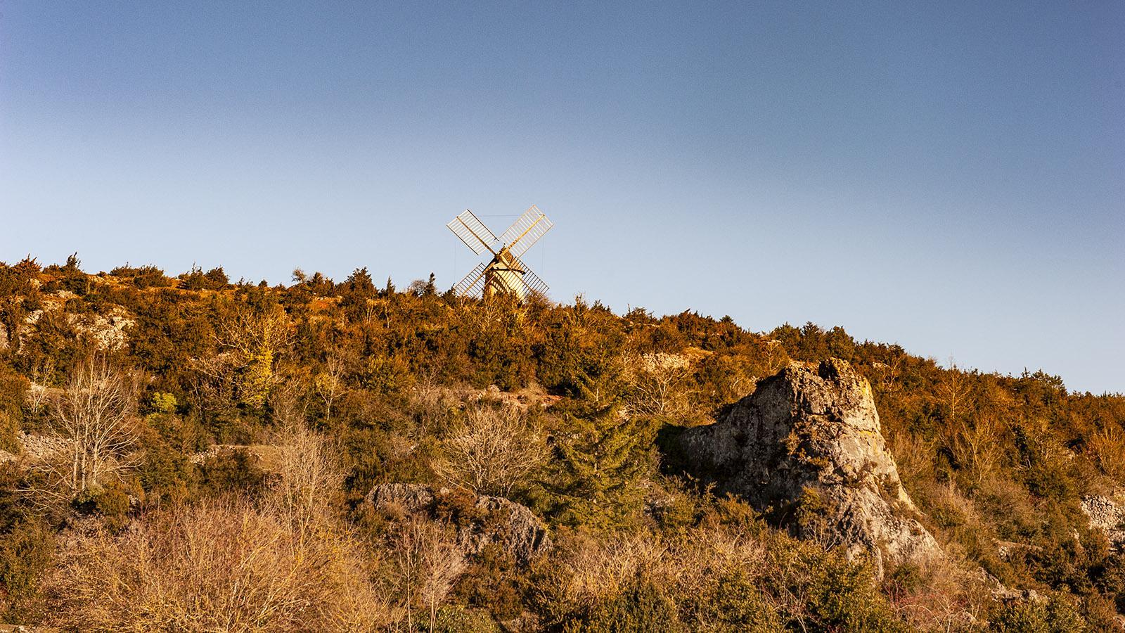 Auf dem Causse de Larzac erheben sich bis heute – wie hier bei La Couvertoirade – Windmühlen aus der Landschaft des Hochplateaus. Foto: Hilke Maunder