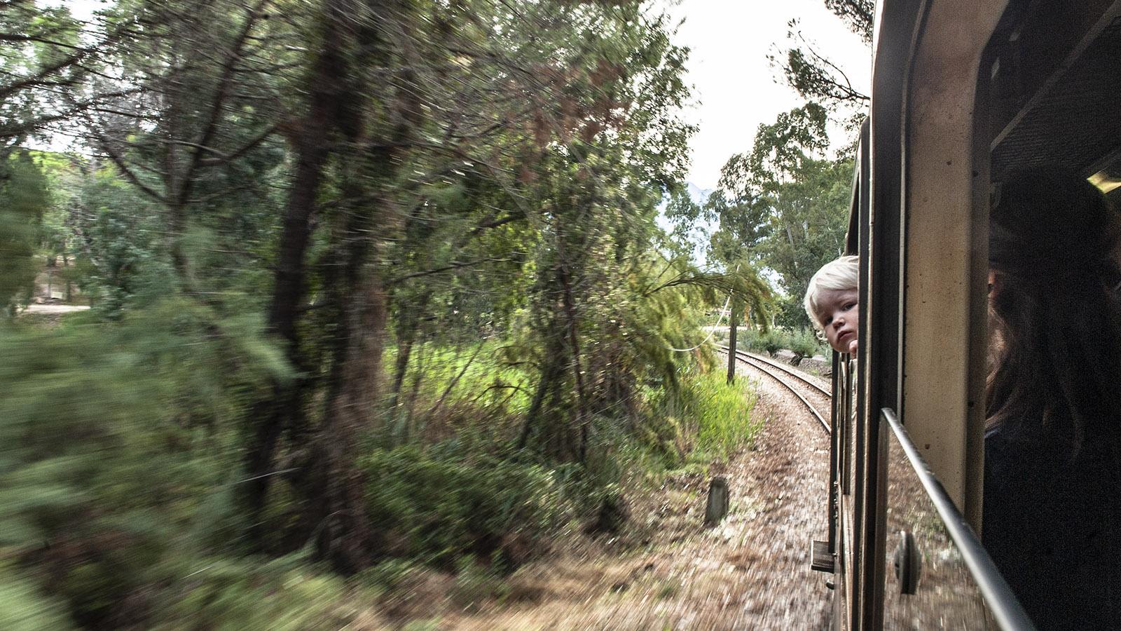Bahnfahren wie einst... in der Micheline unterwegs in der Balagne. Foto: Hilke Maunder