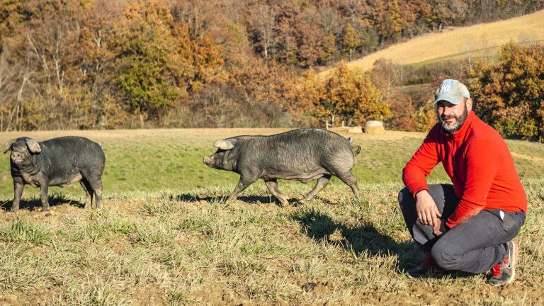 Porc Noir de Bigorre: die Schinken-Schweine