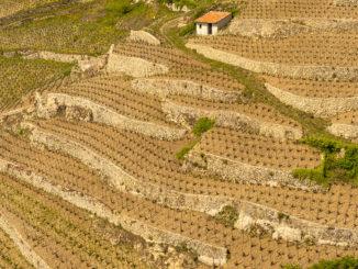 Die steilen Hänge im Norden der Côtes du Rhône machen oft den beschwerlichen Anbau in Terrassen notwendig, Foto: Hilke Maunder