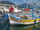 Propriano: Im Jachthafen findet ihr auch noch einige der traditionsreichen bunten Pointu-Fischerboote. Foto: Hilke Maunder