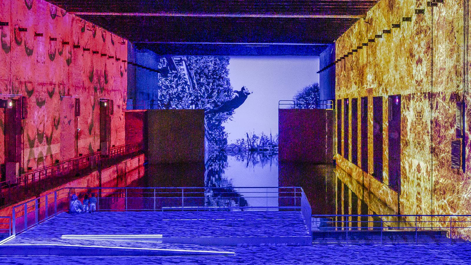 Yves Klein in den <em>Bassins de Lumières</em>. Foto: Hilke Maunder