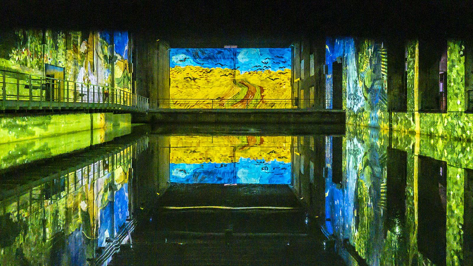 Van Gogh in den <em>Bassins de Lumières</em>. Foto: Hilke Maunder