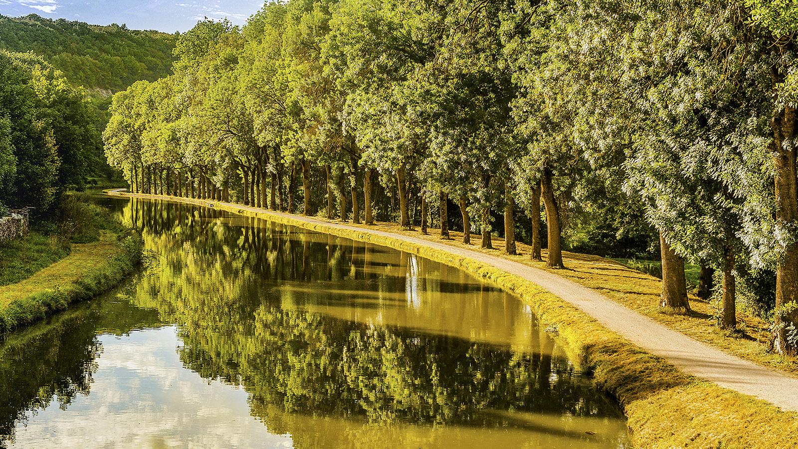 Treidelweg am Canal de Bourgogne bei Vandenasse. Foto: Hilke Maunder