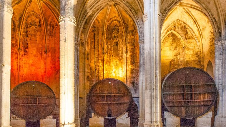 Abtei Valmagne: die Kathedrale des Weins