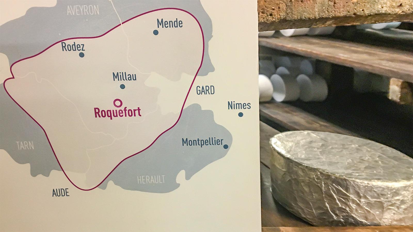 Nur mit der Schafsmilch aus dieser Region darf Roquefort-Käse hergestellt werden. Foto: Hilke Maunder