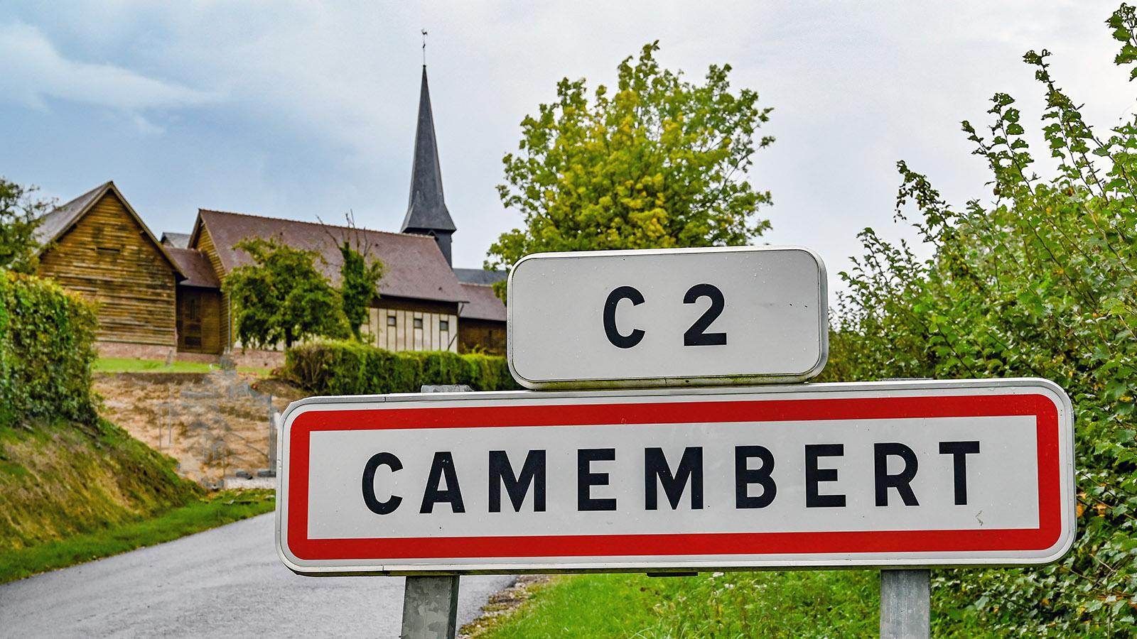 Camembert im Pays d'Auge. Foto: Hilke Maunder