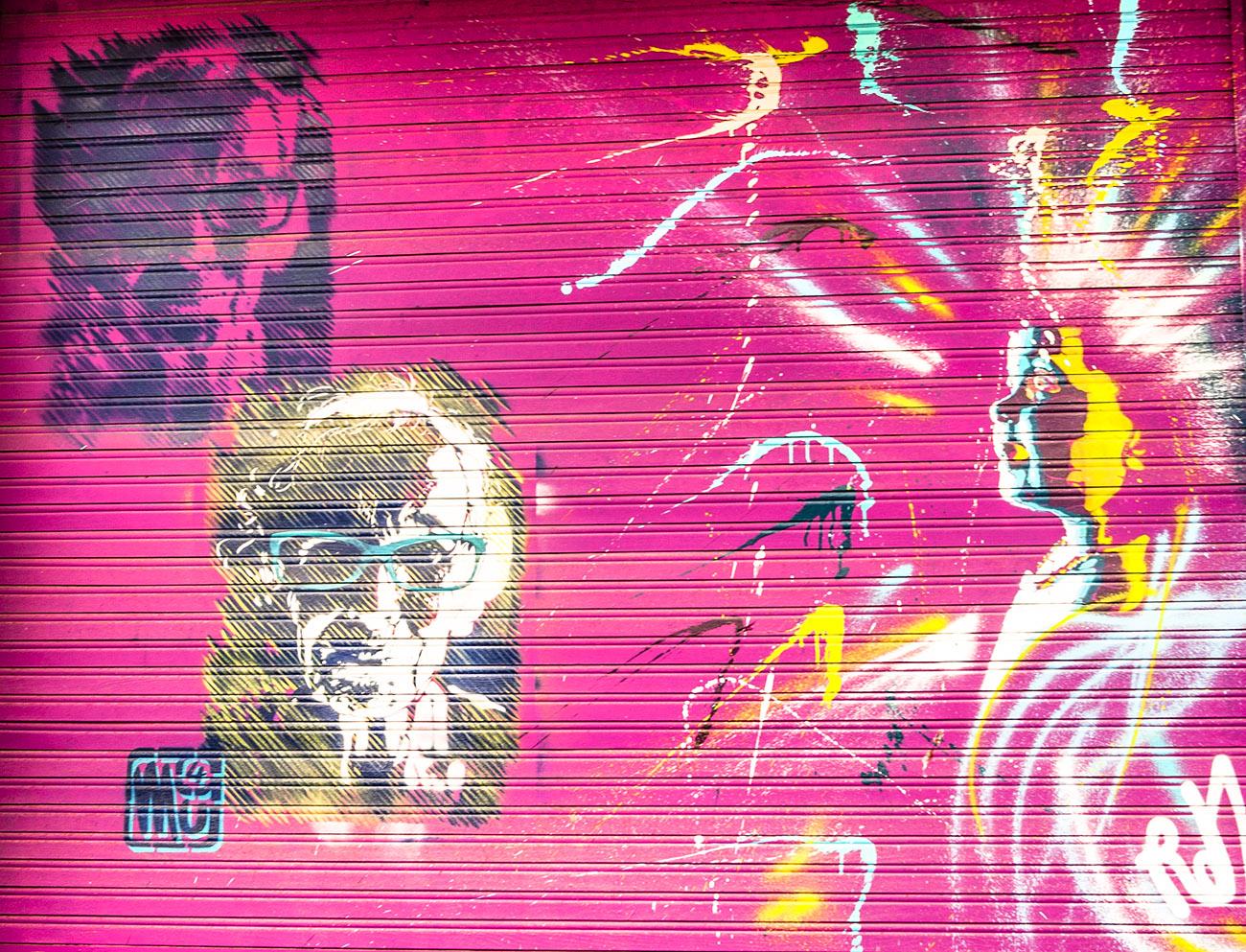 Street Art in Grenoble von M4U & Romain Minotti in 22, rue Thiers. Foto: Hilke Maunder