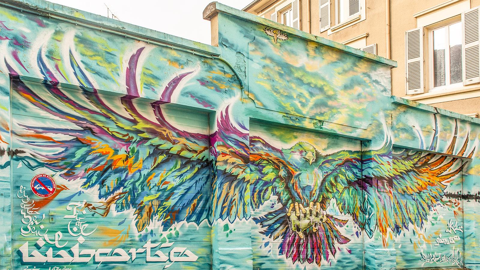 L'aigle (Adler), ein Werk von Srek, Greg & Killah One & 1Pact für das Street Art Fest 2015. Fotoz: Hilke Maunder