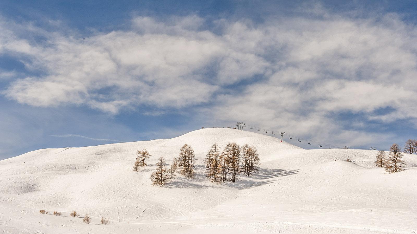 Lärchen im Schnee – war für schöne, fast schon grafische Ausblicke beim Skifahren. Foto: Hilke Maunder