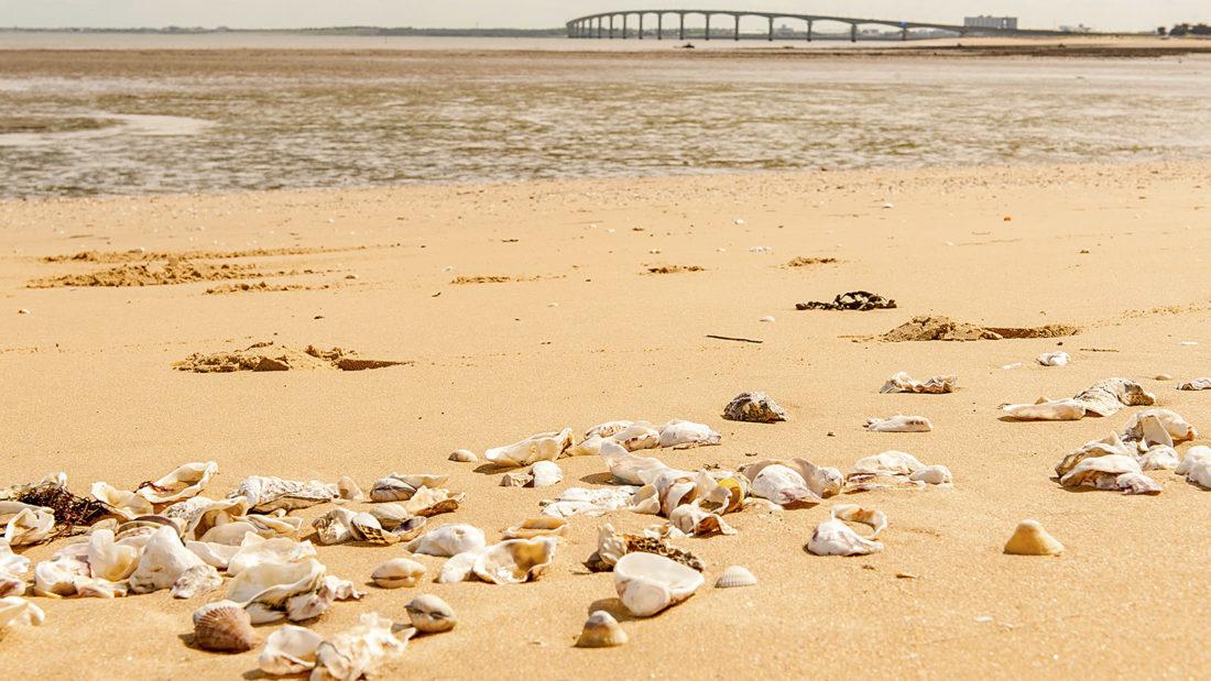 Île de Ré: La Plage. Foto: Hilke Maunder