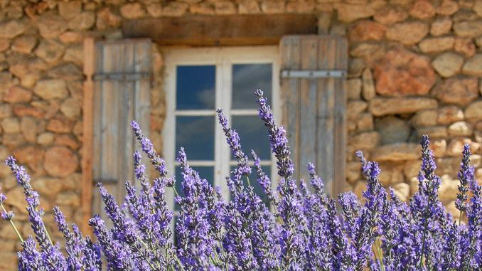 Provence-Flair: Vor einem Natursteinhaus blüht der Lavendel. Foto: Hilke Maunder