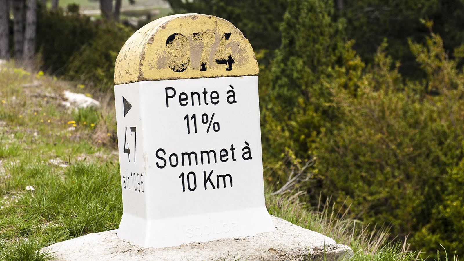 Mont Ventoux: 11 % Steigung - und der Gipfel ist noch zehn Killometer entfernt. Foto: Hilke Maunder