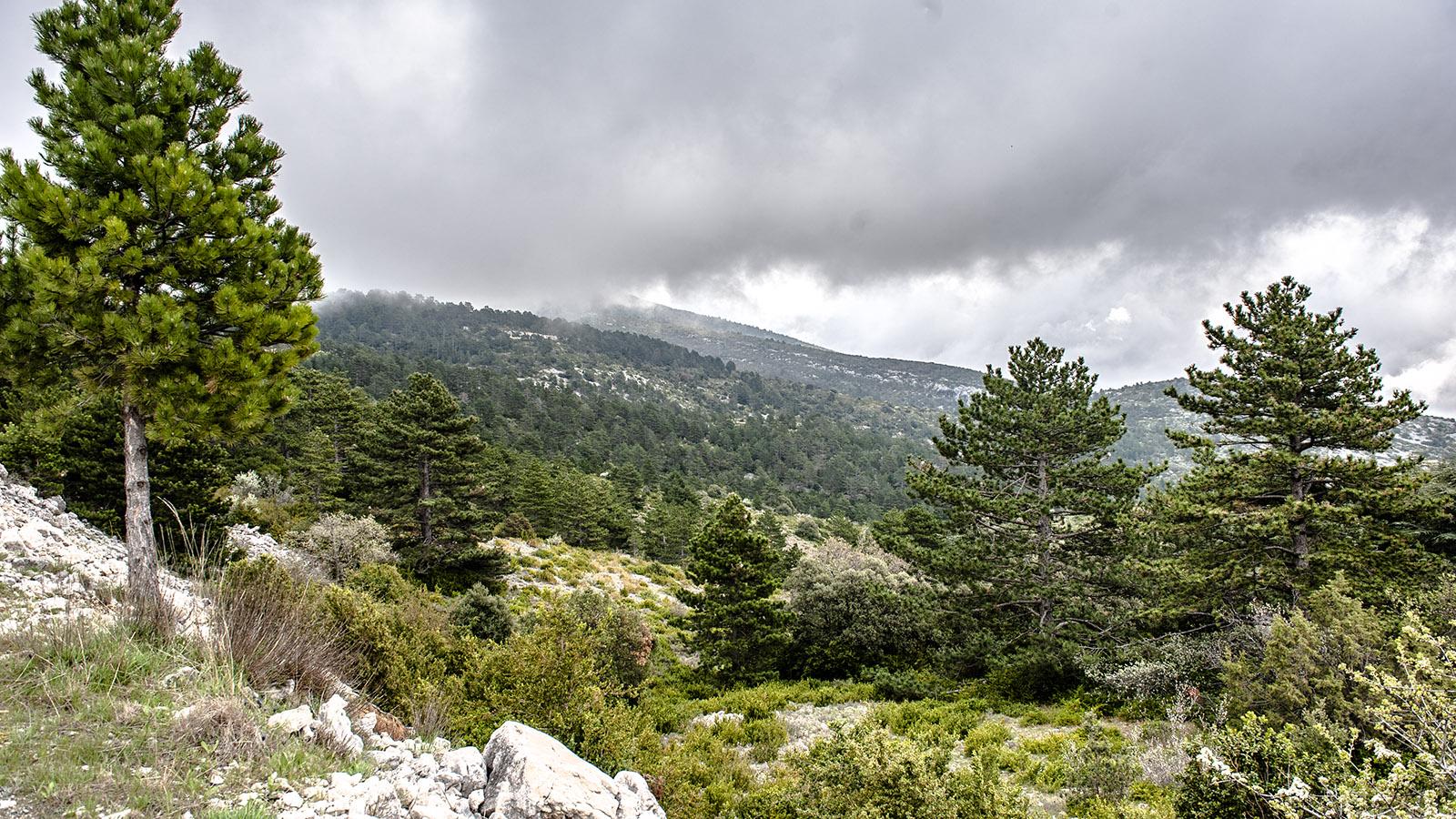Am Mont Ventoux ändert sich auch im Sommer das Wetter blitzschnell. Foto: Hilke Maunder