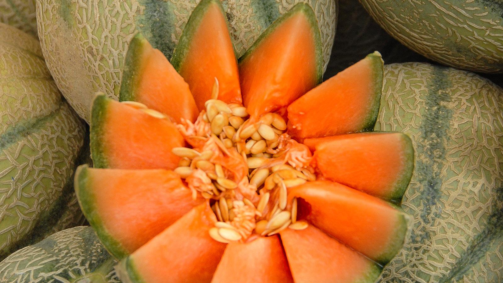 Köstlich: Cavaillon-Melone. Foto: Hilke Maunder