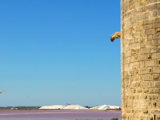 Aigues-Mortes, Blick von der Stadtmauer auf die Saline du Midi (Salzgewinnung). Foto: Hilke Maunder