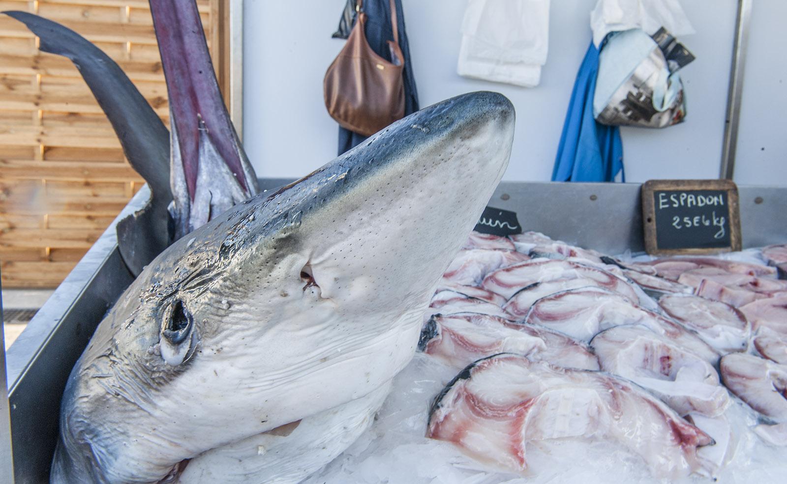 Hai, Thunfisch und Schwertfisch: Auf dem Fischmarkt von Carro werden traditionell Großfische verkauft. Foto: Hilke Maunder