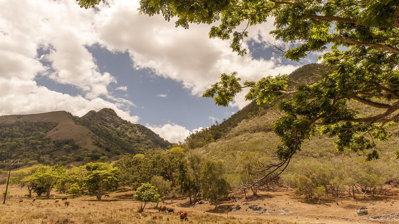 Der wilde Westen: Sarraméa ist Stammesland. Foto: Hilke Maunder