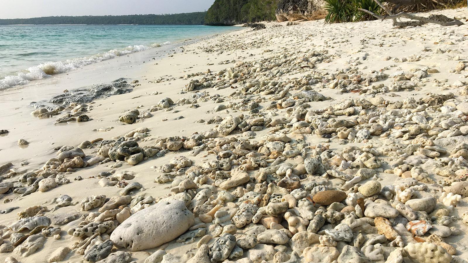 Von Korallenreste, Muschel und Schnecken bedeckt; die Plage Tipéria von Ouvéa. Foto: Hilke Maunder
