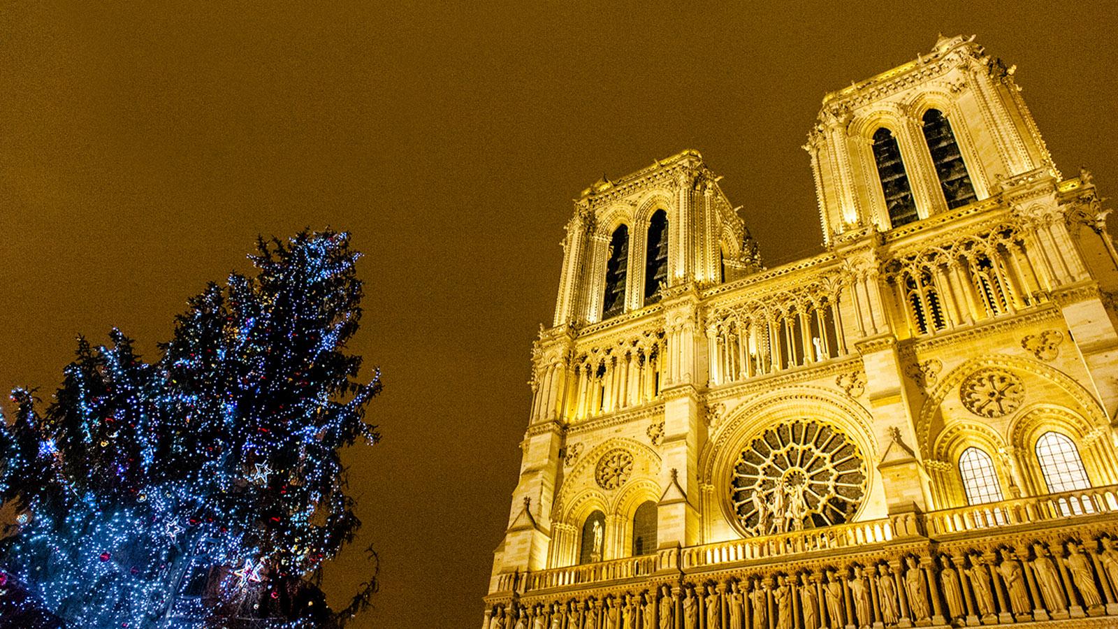 Weihnachten in Paris: Auch vor Notre-Dame erhebt sich ein bunt geschmückter Weihnachtsbaum. Foto: Hilke Maunder