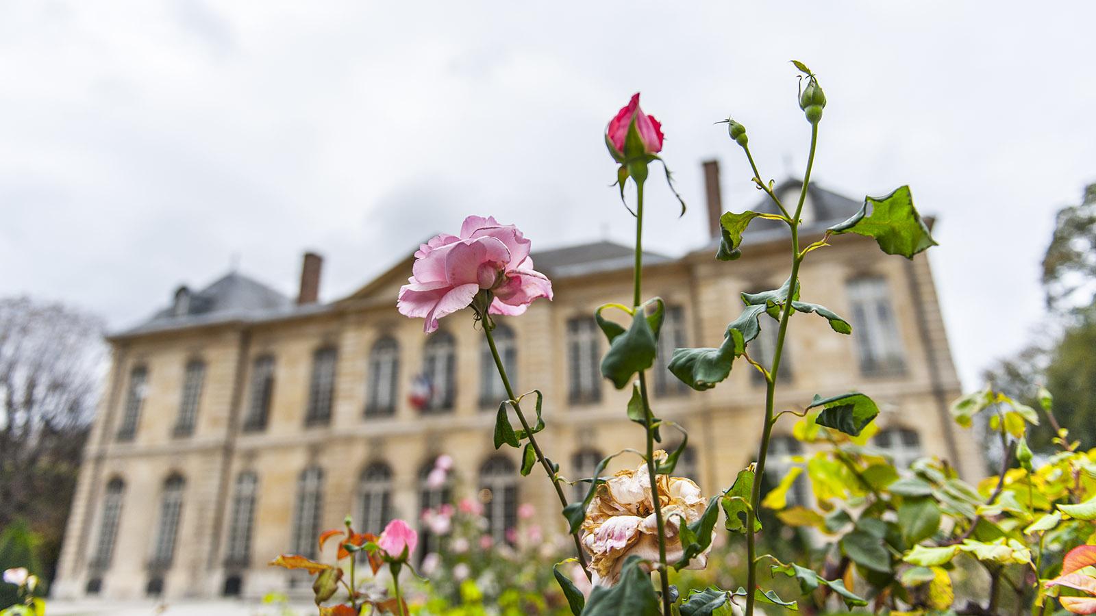 Das Musée Rodin im Hôtel Biron von Paris. Foto: Hilke Maunder