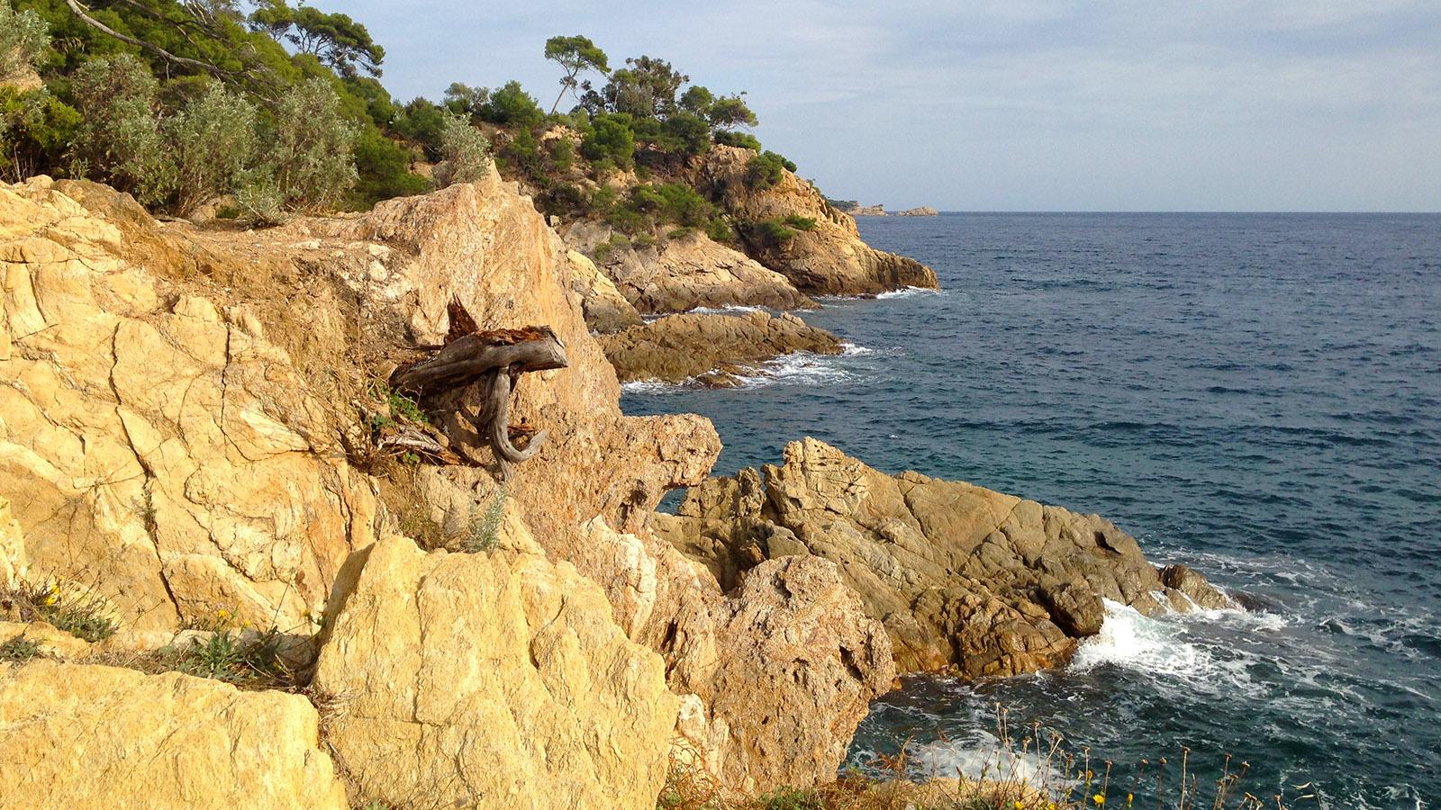 Saint-Tropez: Strand und Fels wechseln sich ab auf dem Sentier Littoral. Foto: Hilke Maunder