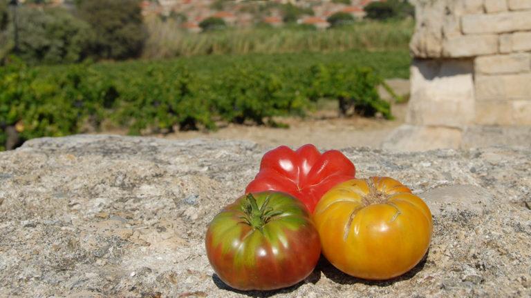 Slow Food erleben in der Provence