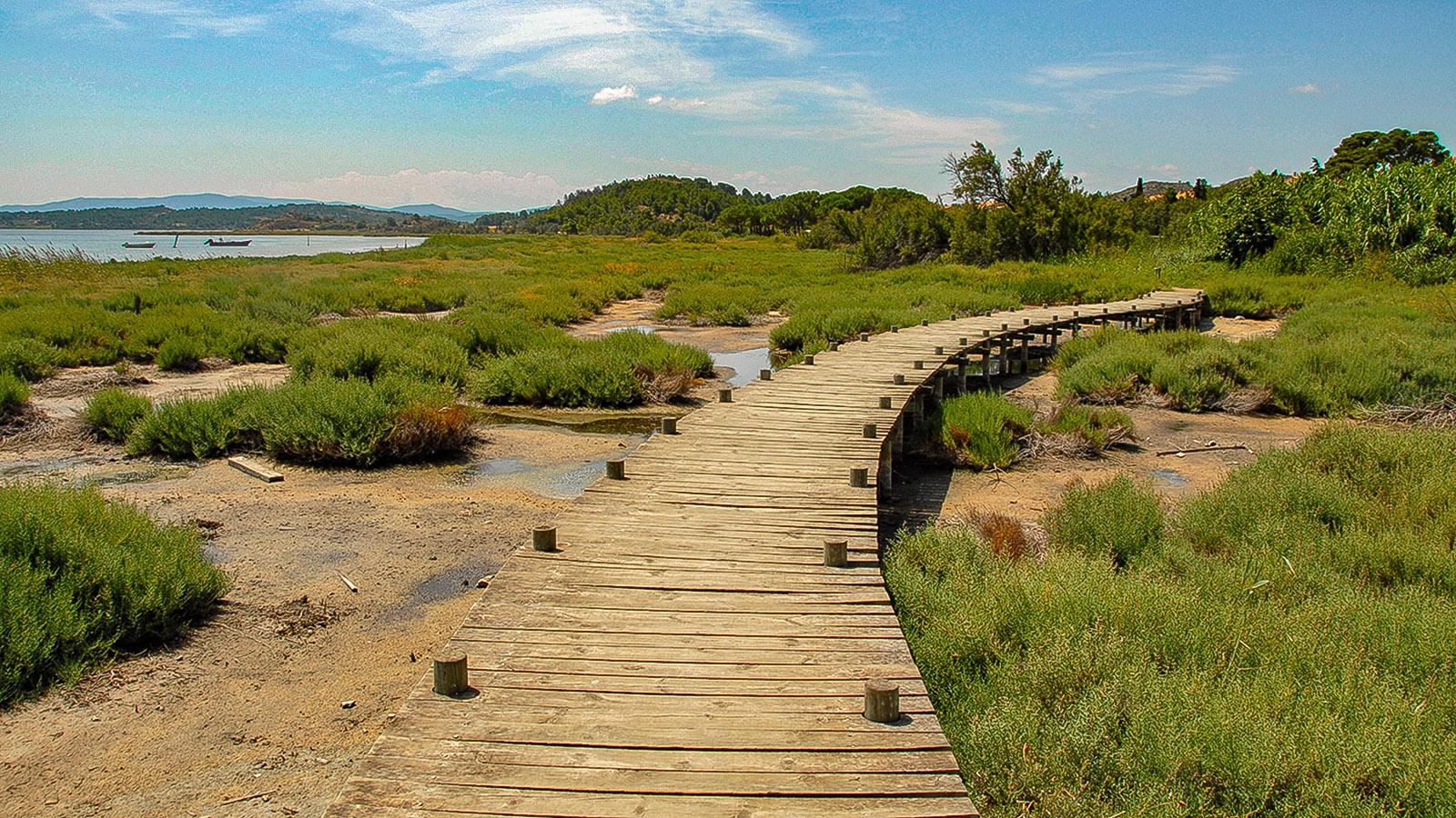 Lagunenseen des Languedoc: Ein Bohlenweg erschließt das Ufer des Étang de Bages. Foto: Hilke Maunder