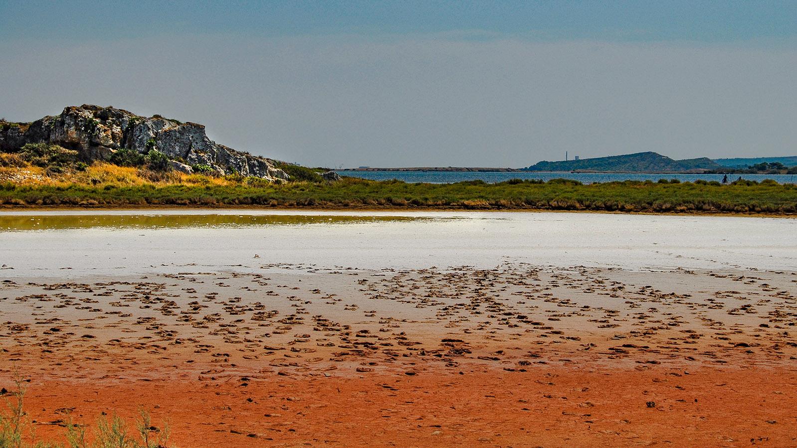 Lagunenseen im Languedoc: beim Étang de Bages: Salzüberkrustet: Ufer eines Étang im reggionalen Naturpark von Narbonne. . Foto: Hilke Maunder