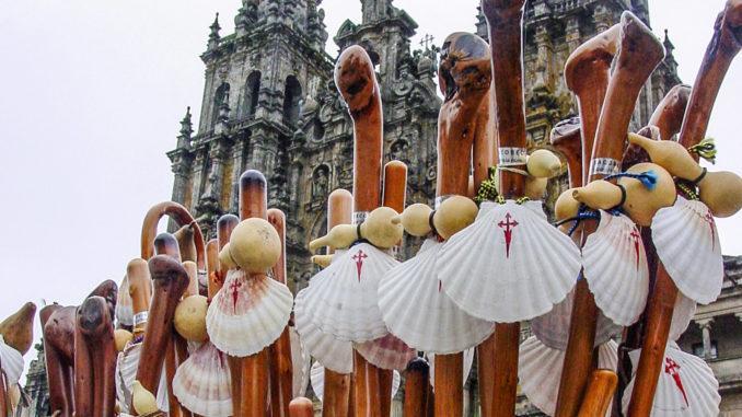 Jakobswege: Symbol der Pilger: die Jakobsmuschel. Foto: Hilke Maunder