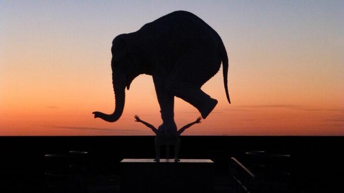 Der Elefant von Le Havre. Foto: Uschi Hennen
