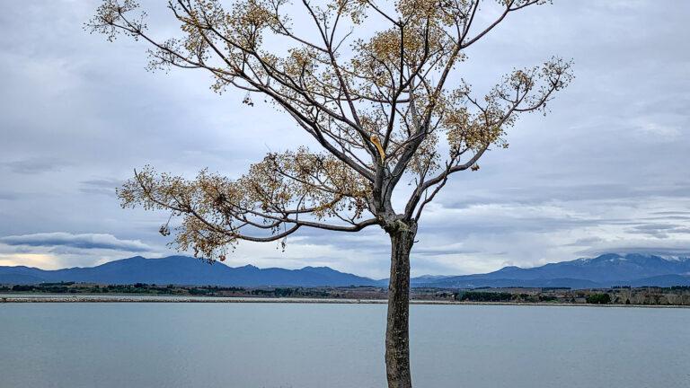 Am frühen Abend am Lac de la Raho. Foto: Hilke Maunder