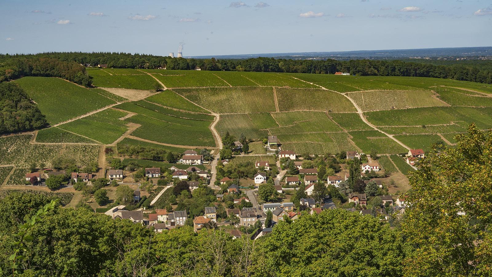 Der Blick von Sancerre auf das Weinland ringsum. Foto: Hilke Maunder