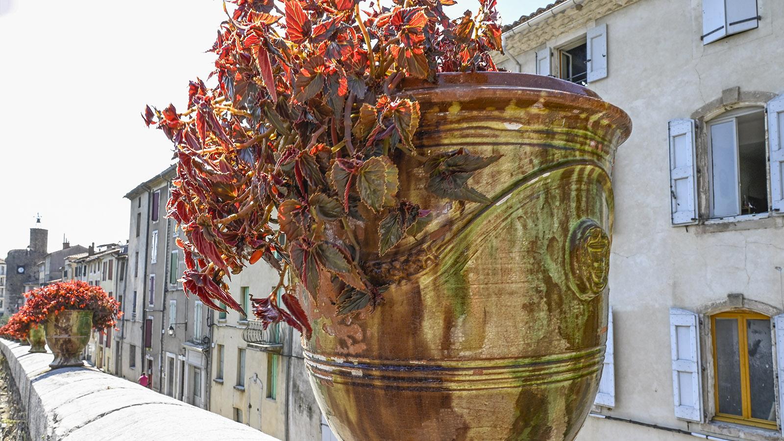 Die Vasen von Anduze. Foto: Hilke Maunder