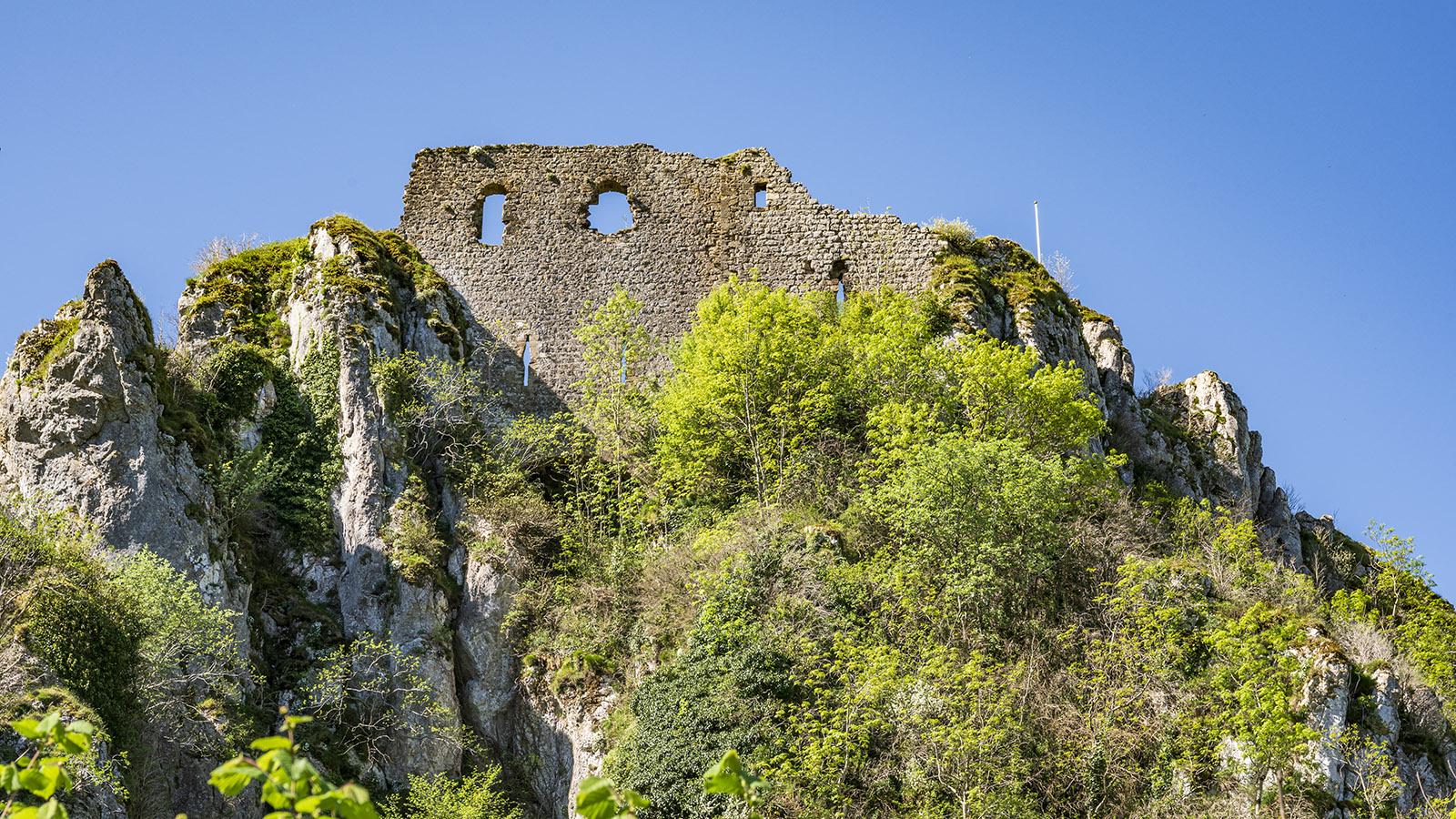 Die Burg von Roquefixade - eine malerische Ruine mit herrlicher Aussicht! Foto: Hilke Maunder