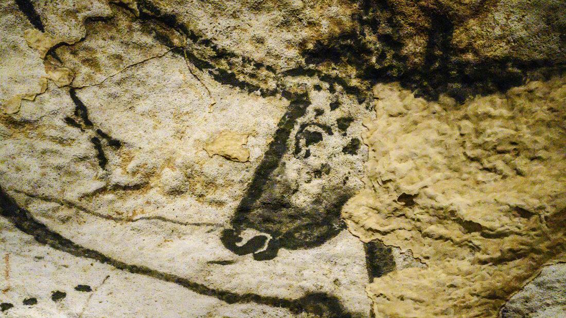 Die Höhle Lascaux IV. Foto: Hilke Maunder